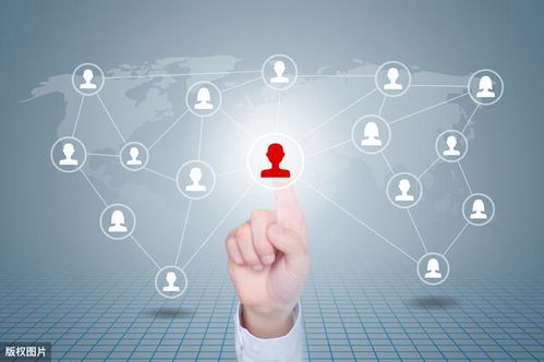 互联网时代 三种行之有效的网络推广方式赋能企业信息系统软件开发